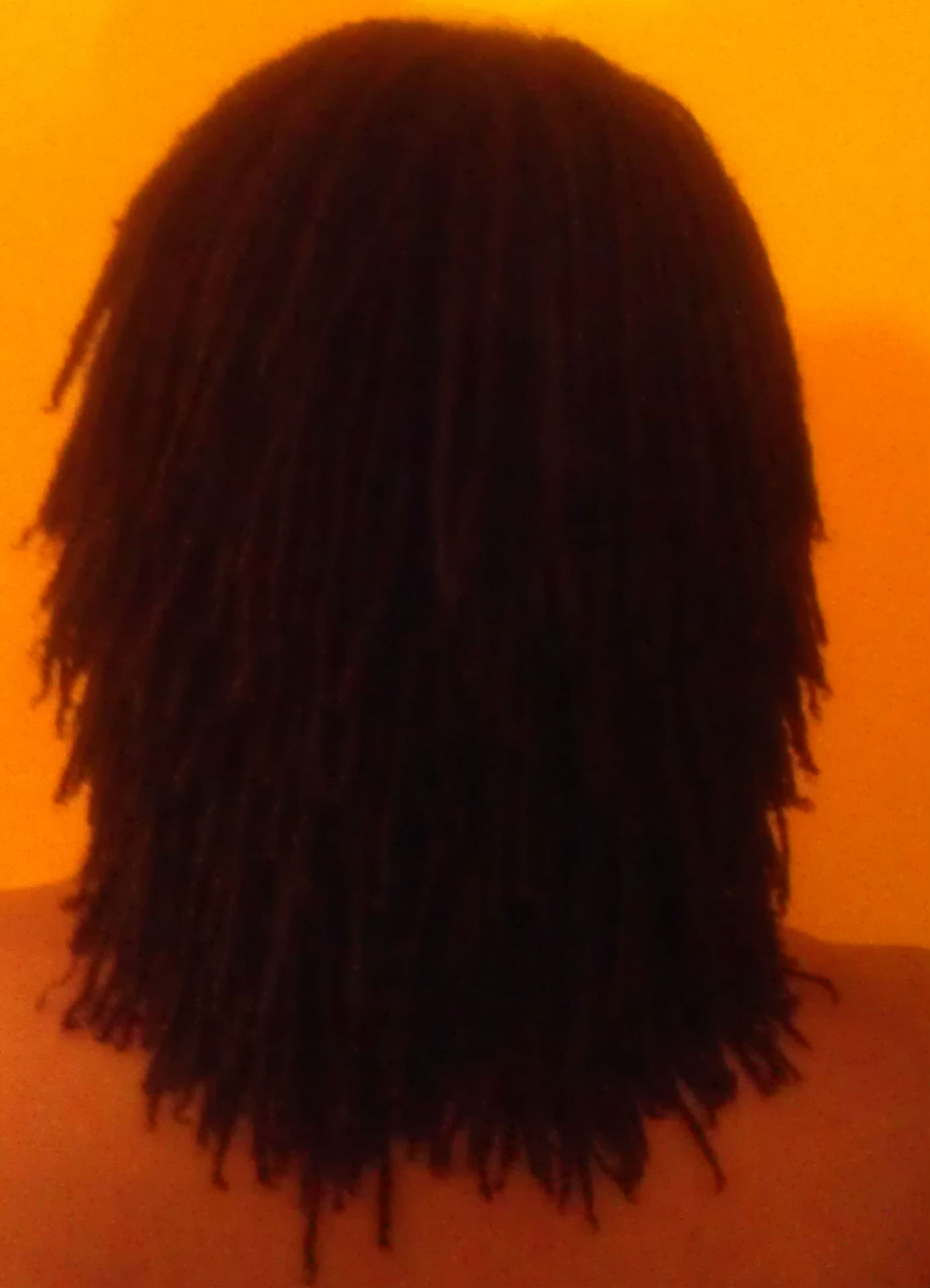 The Bend of My Hair  Join me on my Sisterlocks journey